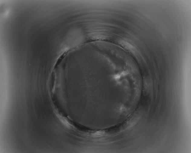 X0000088140398200705211140