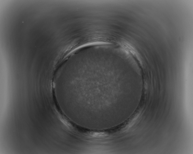 X0000088140401200705211140