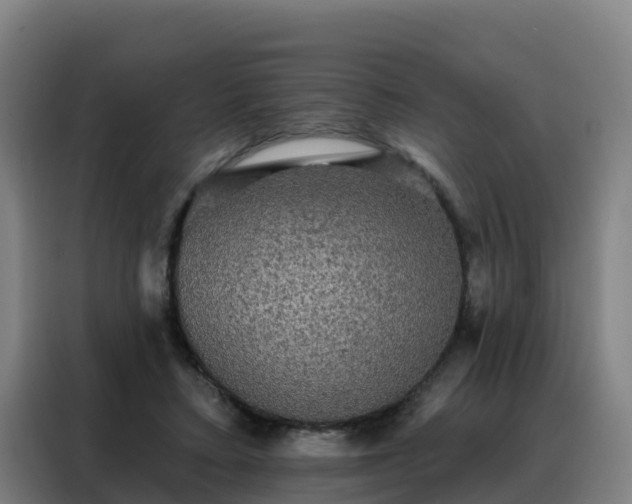 X0000088140403200705211140