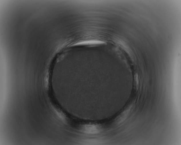 X0000088140404200705211140