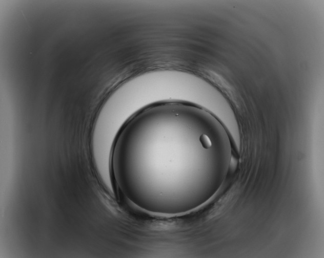 X0000088140405200705211140