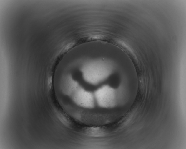 X0000088140406200705211140
