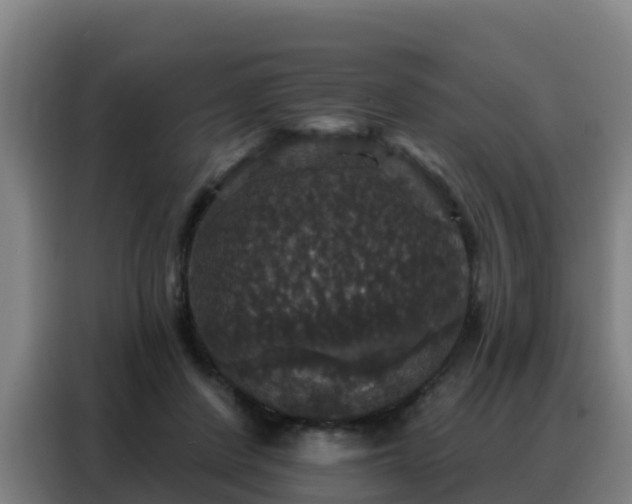 X0000088140408200705211140