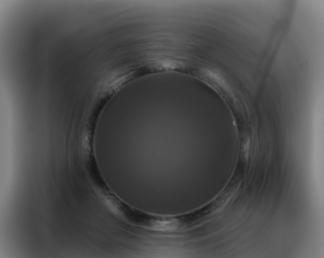 X0000088140410200705211140