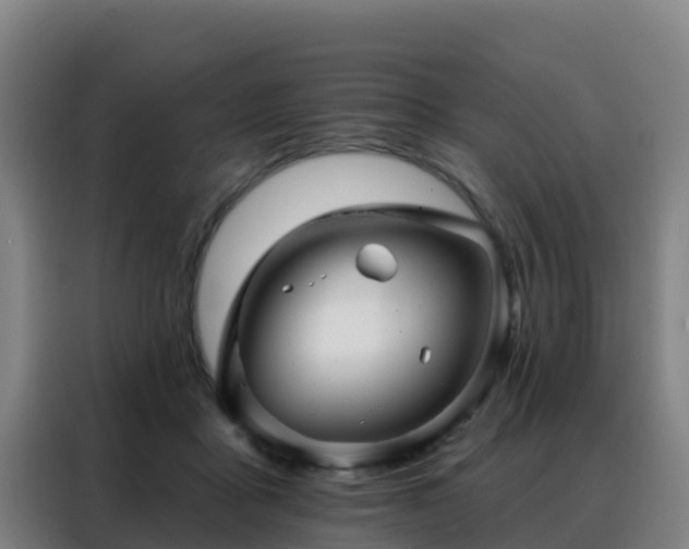 X0000088140411200705211140