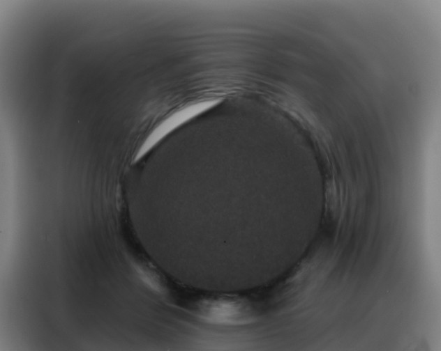 X0000088140412200705211140