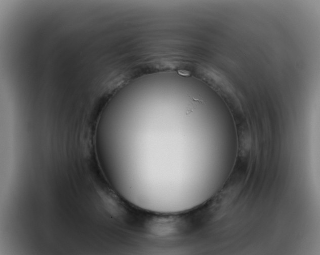 X0000088140414200705211140
