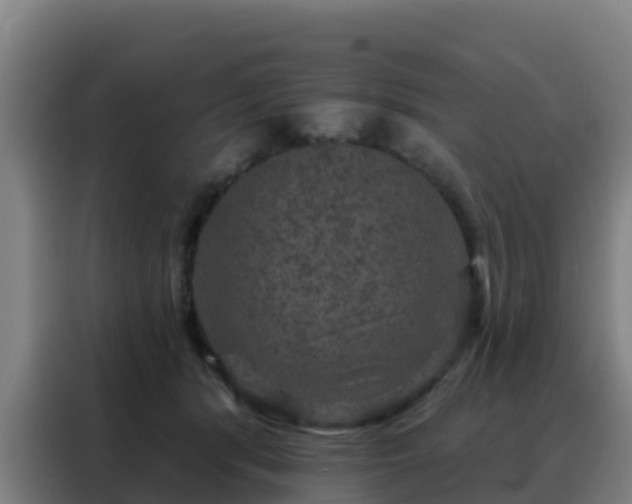X0000088140416200705211140