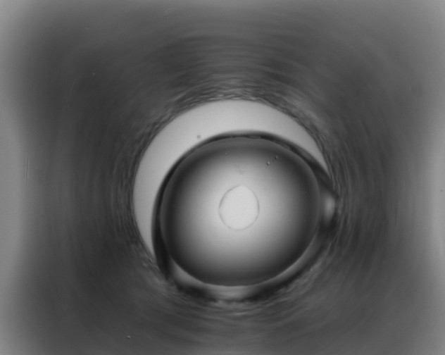 X0000088140417200705211140