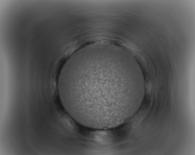 X0000088140418200705211139