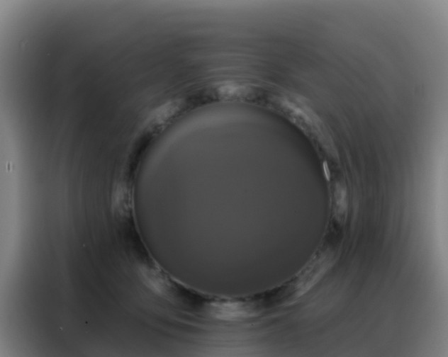 X0000088140419200705211139