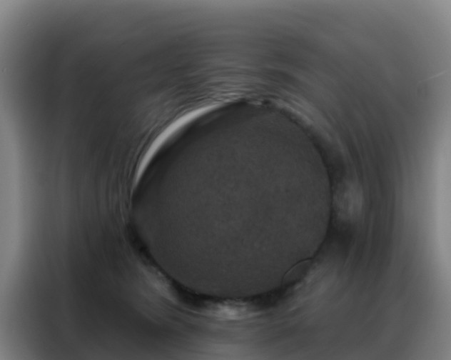X0000088140420200705211139