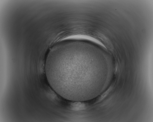 X0000088140421200705211139