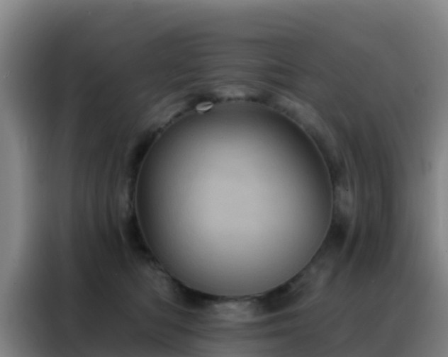 X0000088140422200705211139