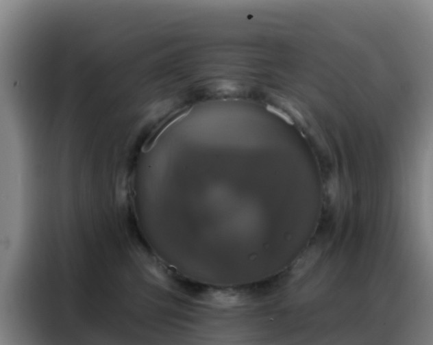 X0000088140423200705211139