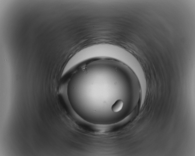 X0000088140425200705211139