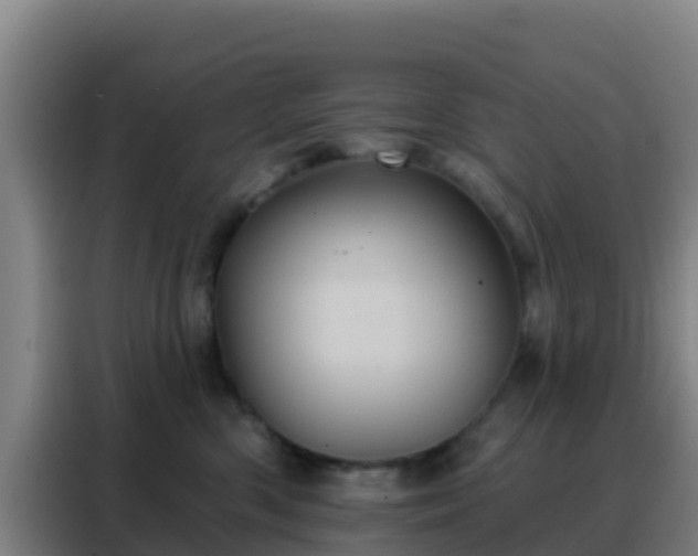 X0000088140426200705211139