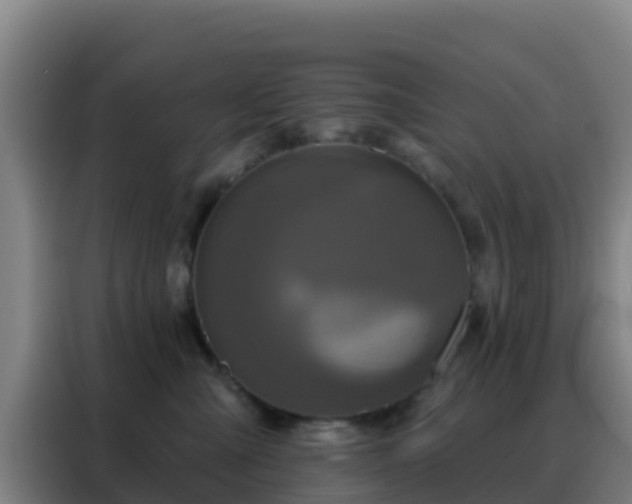 X0000088140427200705211139