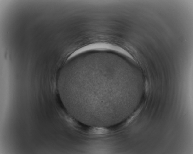 X0000088140429200705211139