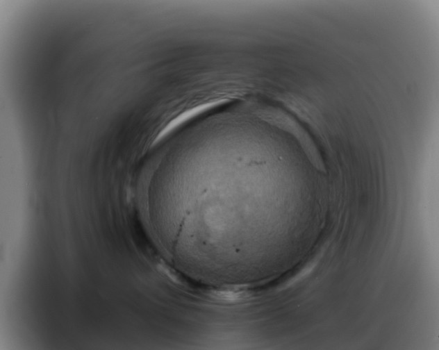 X0000088140432200705211139