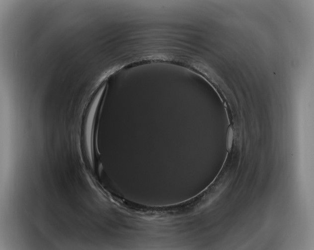 X0000088140434200705211139