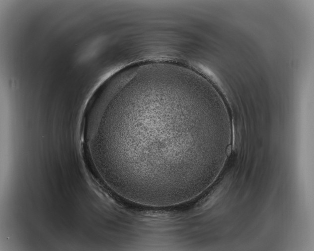 X0000088140435200705211139