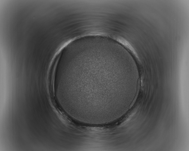 X0000088140436200705211139