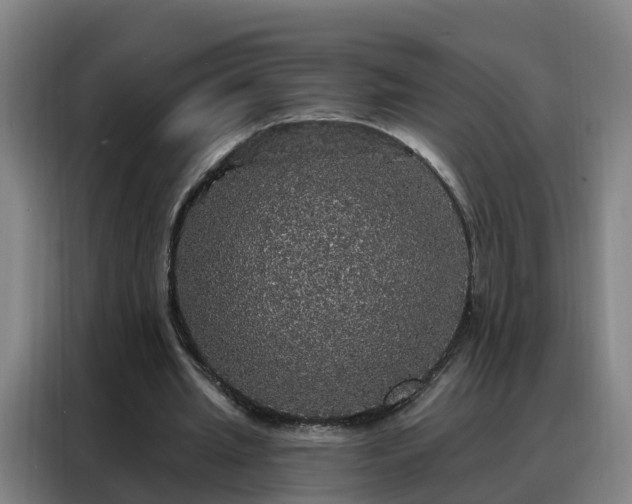 X0000088140437200705211139