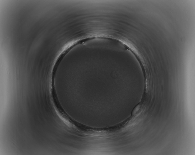 X0000088140438200705211139