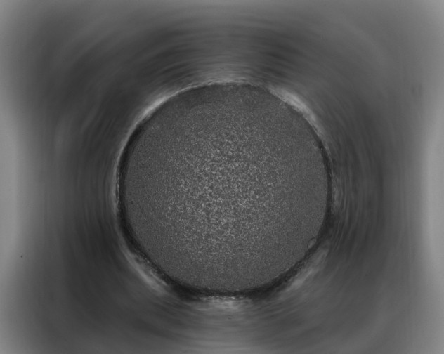 X0000088140439200705211139