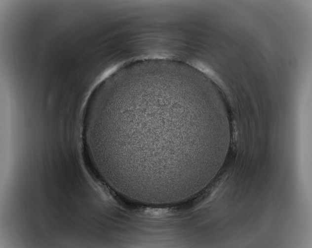 X0000088140440200705211139