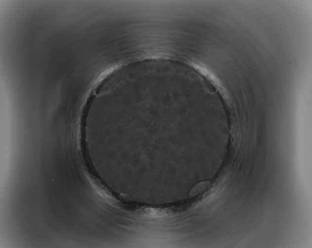 X0000088140442200705211139