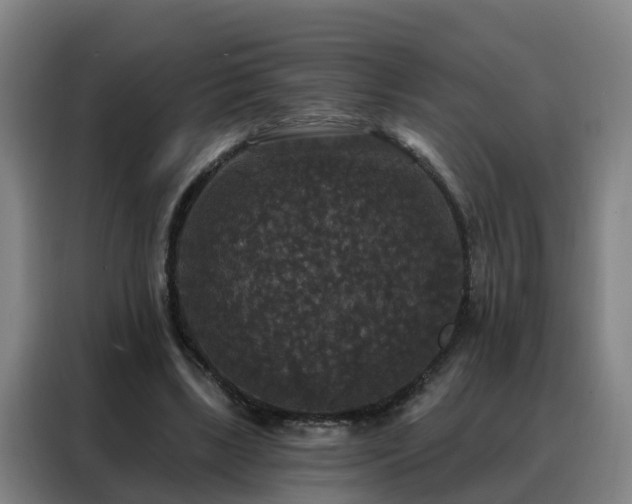 X0000088140443200705211139