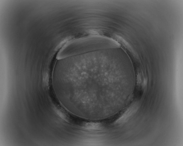 X0000088140444200705211139