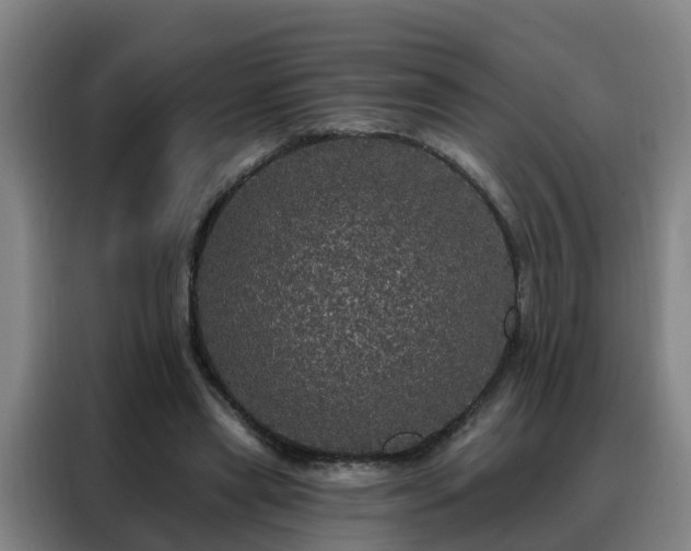 X0000088140445200705211139