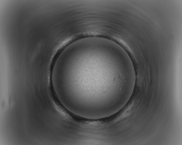 X0000088140446200705211139
