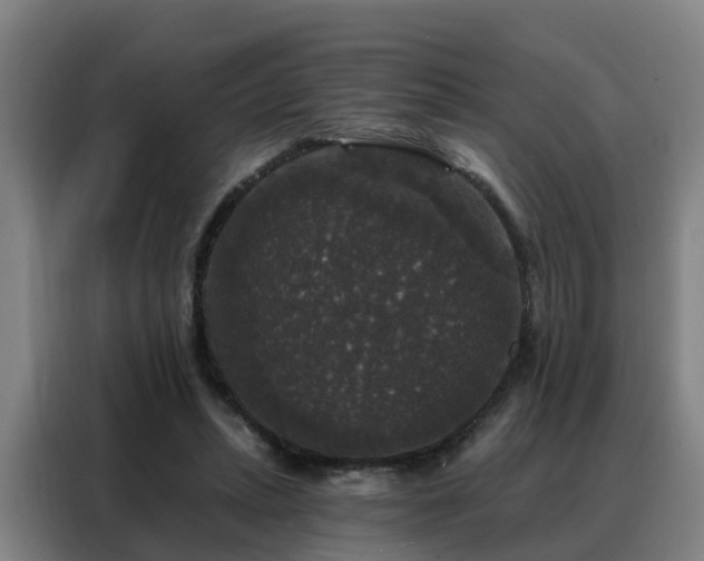 X0000088140447200705211139