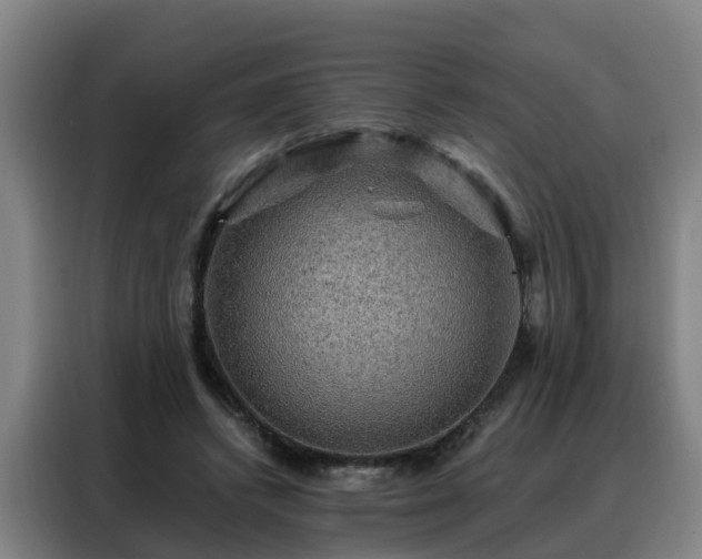 X0000088140448200705211139