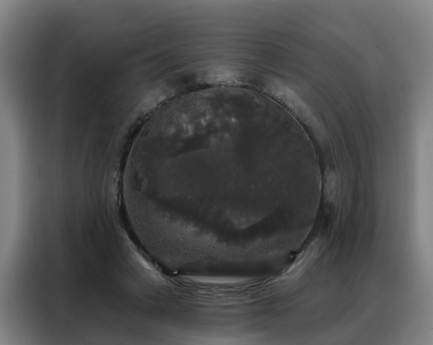 X0000088140449200705211139