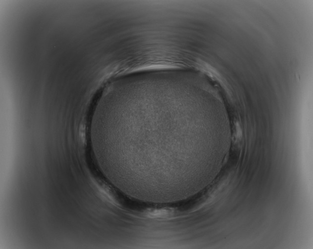 X0000088140452200705211139