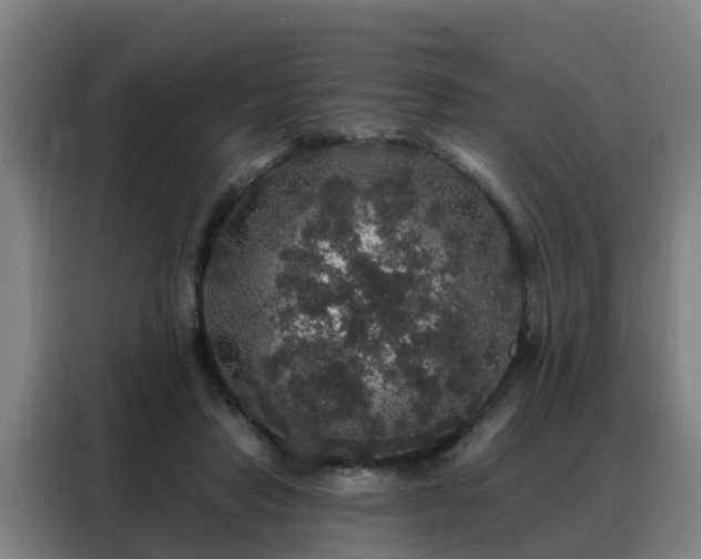 X0000088140453200705211139