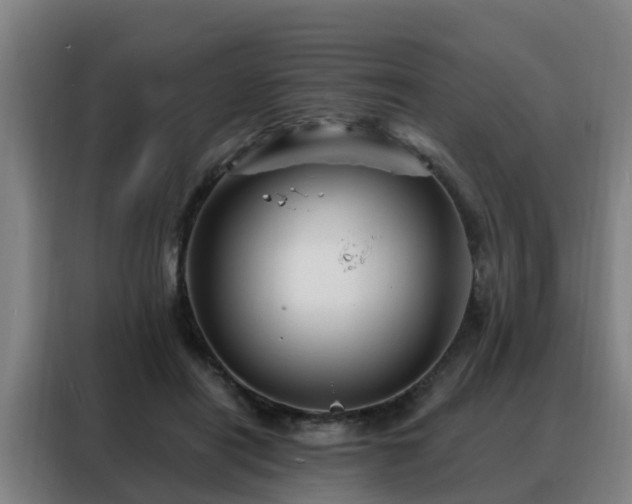 X0000088140454200705211139
