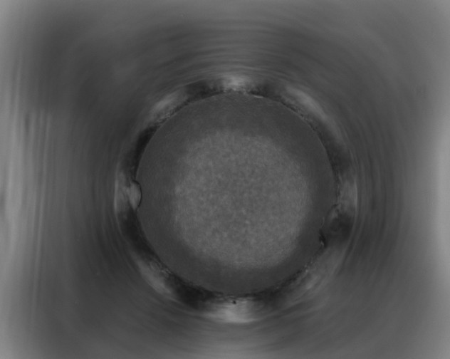 X0000088140456200705211139