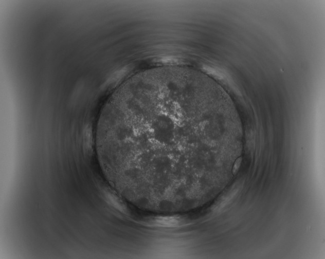 X0000088140457200705211139