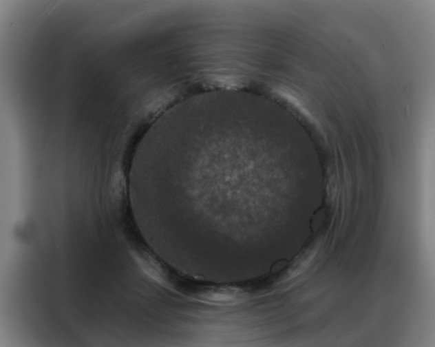 X0000088140459200705211139