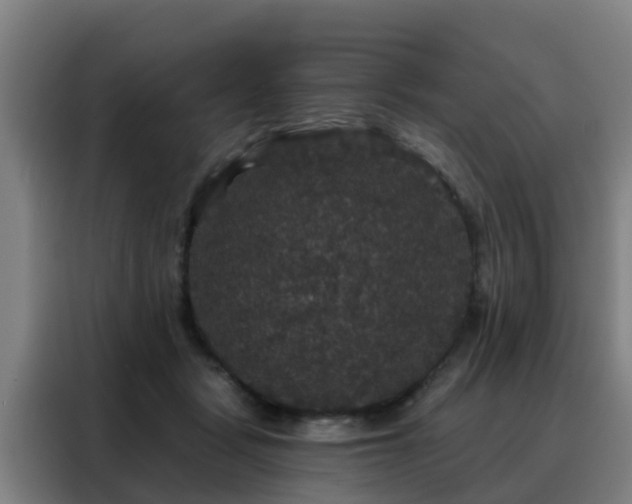 X0000088140461200705211139