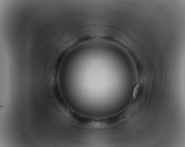 X0000088140464200705211139