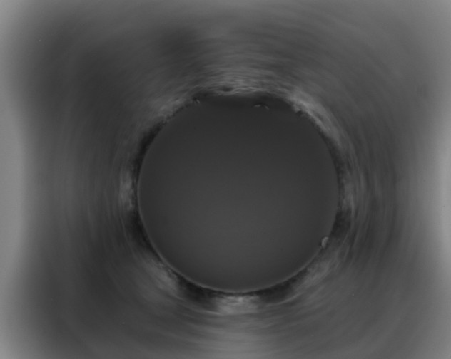 X0000088140465200705211139