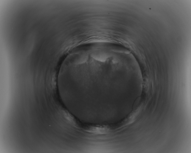 X0000088140466200705211139