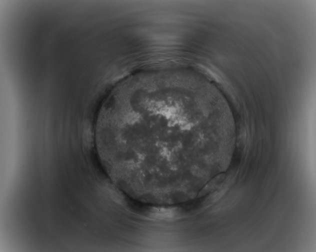 X0000088140469200705211139